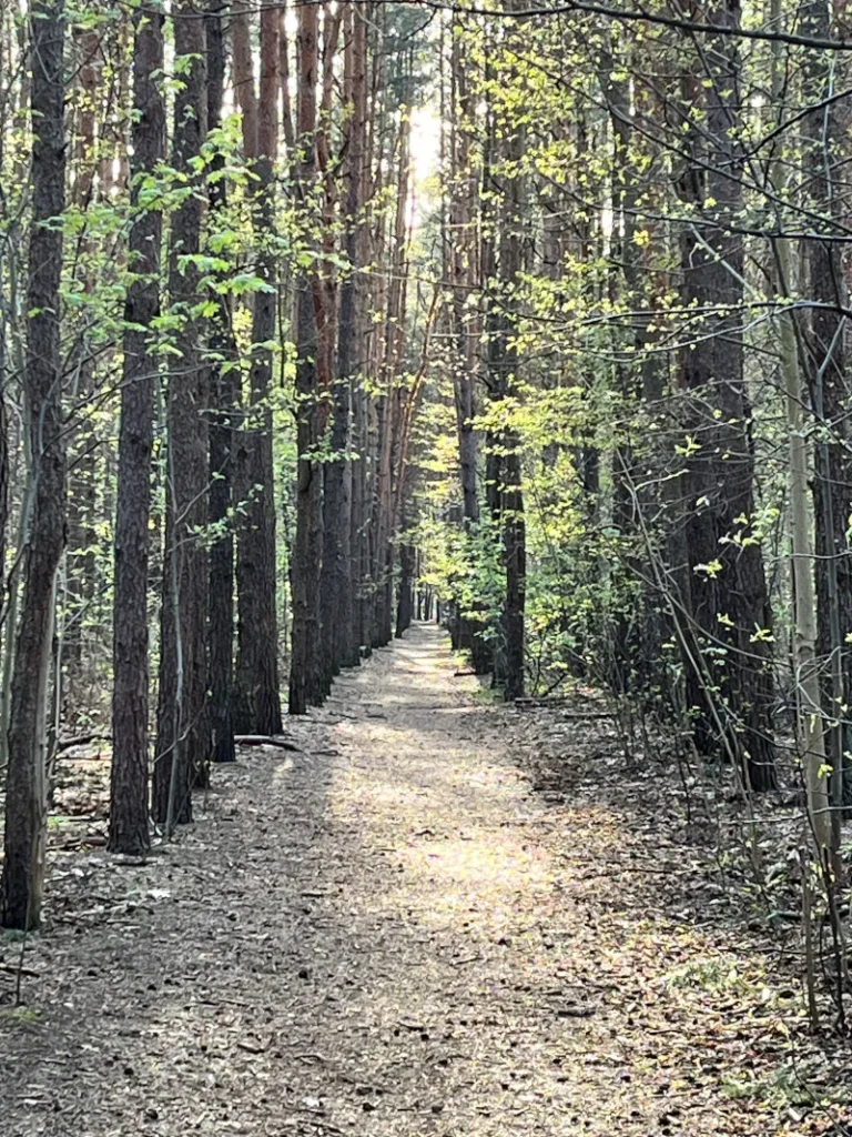 psychoterapia Saska Kępa